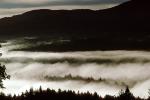 Foggy Morning, Fog, Burke, Vermont, NOEV01P01_16