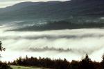 Foggy Morning, Fog, Burke, Vermont, NOEV01P01_17
