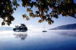 Steam on a Lake, island, tree, leaves, water, cottagecore, NOEV01P04_14