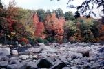 Forest, Woodlands, Trees, River, Rocks, autumn