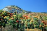 Mountain, hills, hillside, Fall Colors, Autumn, Trees, Vegetation, Flora, Plants, Woods, Forest, Exterior, Outdoors, Outside, Woodlands