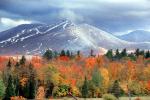 Woodland, Forest, Trees, Hill, autumn, Snow Dusted