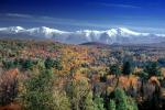 Woodland, Forest, Trees, Mountain Range, autumn, NOEV01P08_09