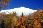 Woodland, Forest, Trees, Mountain Range, Weather Station, autumn, snow cone, NOEV01P08_10