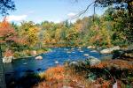 Stream, River, Woods, Forest, Deciduous Trees, Fall Colors, autumn, rocks, stone