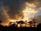 Sunset, Clouds, Trees, Fort Myers, Florida, NOFD01_010