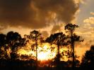 Sunset, Clouds, Trees, Fort Myers, Florida, NOFD01_012