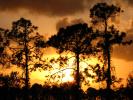 Sunset, Clouds, Trees, Fort Myers, Florida, NOFD01_014