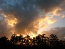 Sunset, Clouds, Trees, Fort Myers, Florida, NOFD01_015