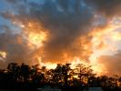 Sunset, Clouds, Trees, Fort Myers, Florida, NOFD01_016
