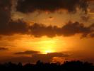 Sunset, Clouds, Trees, Fort Meyers, Florida, NOFD01_017