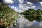 Wetlands, Swamp, NOFV01P11_14
