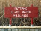 Entering Black Marsh Wildlands, NOMD01_005