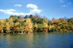 Woodland, Forest, Trees, River, autumn