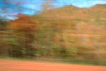 autumn, deciduous, forest, motion blur, streaks, NORV01P02_13.1260