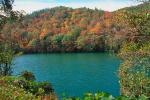 Woodland, Forest, Trees, Hill, Lake, autumn, water, deciduous