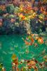 autumn, deciduous, forest, lake, river, leaves