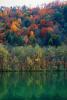 Reflecting Lake, Woodland, Forest, Trees, Hill, autumn, water, deciduous, NORV01P03_05.1260