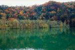 Reflecting Lake, Woodland, Forest, Trees, Hill, autumn, water, deciduous, NORV01P03_07.1260