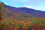Mountain, Woodland, Forest, Trees, Hill, autumn, deciduous, NORV01P03_15.1260