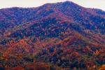 Mountain Top, Woodland, Forest, Trees, Hills, Valley, autumn, deciduous