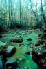 Green River, forest, trees, woodlands, rocks, deciduous, stream, NORV01P06_07.1260