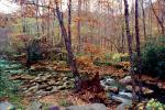 Woodland, Forest, Trees, Hills, River, rocks, deciduous, stream, autumn, NORV01P06_12