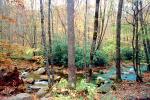 Woodland, Forest, Trees, Hills, River, rocks, deciduous, stream, autumn, NORV01P06_14