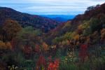 Woodland, Forest, Trees, Hills, Mountains, Valley, autumn, deciduous, NORV01P07_08.0624