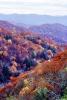 Woodland, Forest, Trees, Hills, Mountains, Valley, autumn