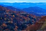 Woodland, Forest, Trees, Hills, Mountains, Valley, autumn, deciduous, NORV01P07_12.0624