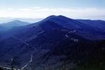 deciduous, forest, Black Mountains, Appalachian Mountains, NORV01P08_04