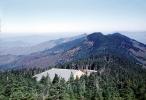 deciduous, forest, Black Mountains, Appalachian Mountains, NORV01P08_05