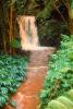 Waterfall, Ferns, river, jungle, rainforest