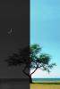 Lone Tree, Day and Night, darkness light, NPHV01P06_18C.1261