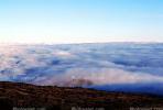 coming down through the fog from the top of Mauna Kea