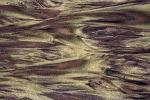 sand, beach, water, wet, liquid, fractal patterns, Pfeiffer Beach, Big Sur, NPMD01_048