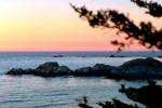 Kelp, Pacific Ocean, rocks, rugged coast, coastline, NPMV01P05_17.1262