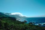 Kelp, Pacific Ocean, rocks, rugged coast, coastline, NPMV01P05_18.1262