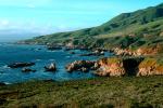 Kelp, Pacific Ocean, rocks, rugged coast, coastline, NPMV01P06_15.1262