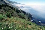 Big Sur, Coastal, coast, coastline, fog, Pacific Ocean, NPMV01P14_03