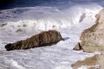 Big Sur, Waves, Shore, Pacific Ocean, Rocks, NPMV01P15_02