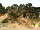 Baker Beach, San Francisco, Pacific Ocean, NPND01_094