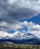 Mount Shasta, NPND01_171