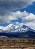 Mount Shasta, NPND01_174
