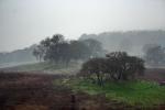 Sonoma County in the Rain, Hills, Hillside, NPND01_242