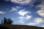 Sonoma County, Clouds, Trees, NPND02_120
