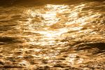 Golden Light, Sonoma County, Coastline, Coast, Pacific Ocean, NPND02_147