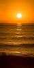 Setting Sun, Sonoma County, Coastline, Coast, Pacific Ocean, NPND02_152