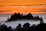 Sunset, Fog, Mystical, Surreal, Sunclipse, Coleman-Valley Road, Sonoma County, NPND02_170